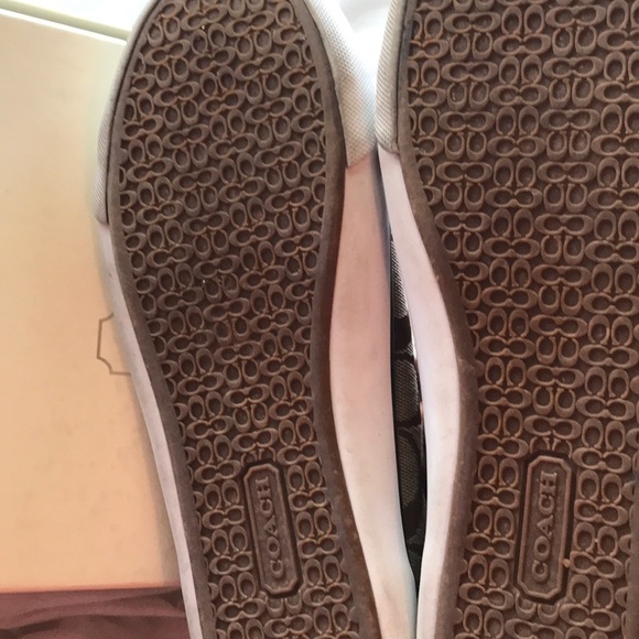 Coach Barrett Sneakers - Picture 6 of 6